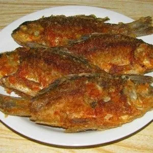 як лікувати опісторхоз дьогтем