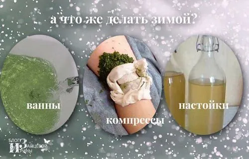 листя хрону від відкладення солей