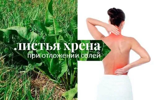 при хворобі і болях в суглобах