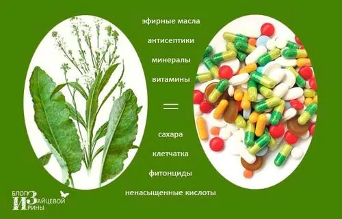 листя хрону від відкладення солей