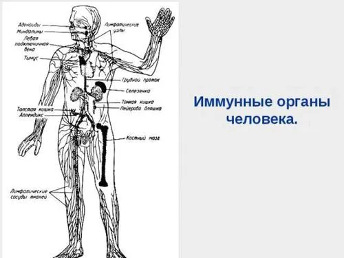 як лікувати інфекцію уреаплазма