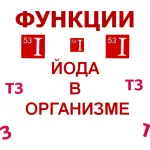 Функції йоду в організмі функції йоду