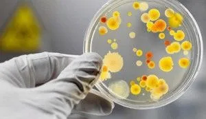 як лікувати цитомегаловірус і герпес