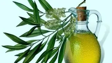 як лікувати нігті маслом чайного дерева