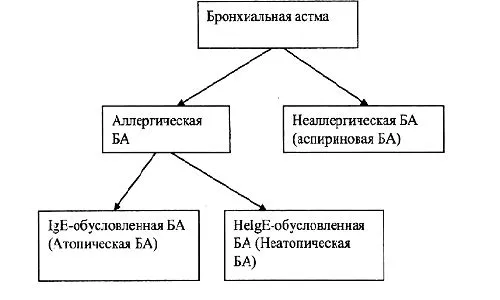 як лікувати бронхіальну астму при вагітності