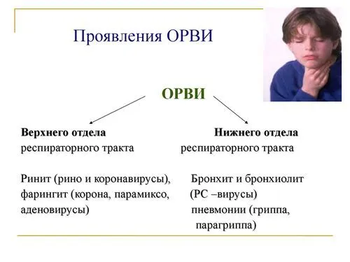 грип та ГРВІ лікування грипу препарати симптоми ніж лікувати ознаки відмінності