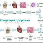 стронцій в лікуванні остеопорозу