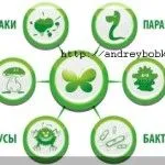 стронцій в лікуванні остеопорозу