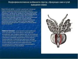 як лікувати тиск содою