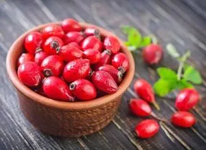 як лікуватися курячої жовчю