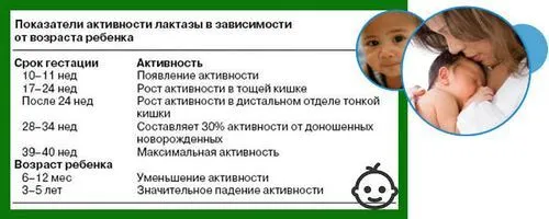 лактаза