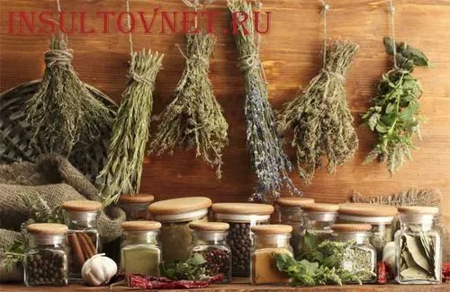 лікувати інсульт травами