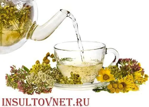 лікувати інсульт травами