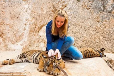 tiger Temple