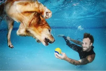 Photonews post-câine subacvatic - set Casto