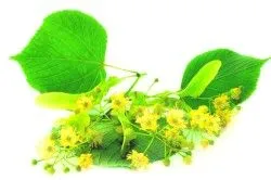 як лікувати ясна під коронкою