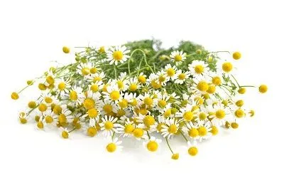 як лікувати варикозний дерматит