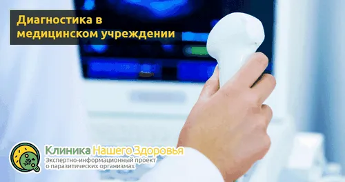 як лікувати печінку від паразитів