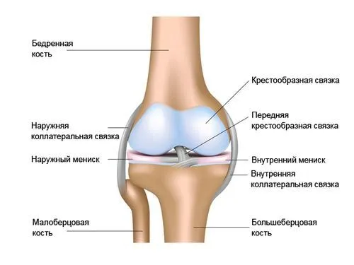 розрив меніска біль операція артроскопія хірургія