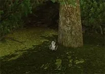 archeage алхімія гайд