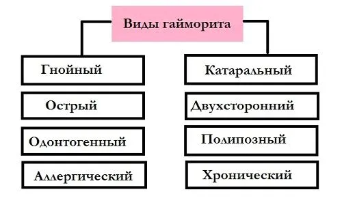 Хронічний гайморит: що це, причини, симптоми, лікування в період... хронічний гайморит в стадії загострення