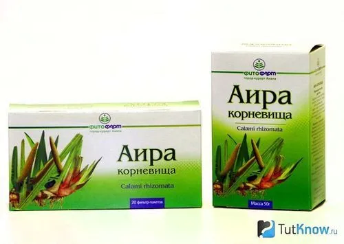 каламус
