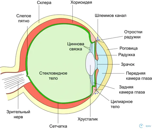 симптоми