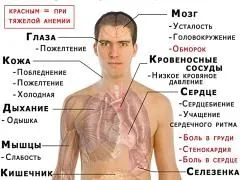 здорове харчування