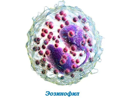 як лікувати алергію в крові