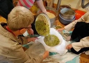 як лікувати суглоби березовими листям