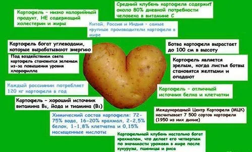 вилікувати геморой за 3 дні