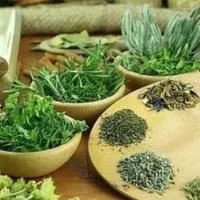 як лікувати нічний енурез у жінок