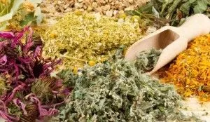 як лікувати виразковий стоматит у дітей