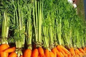 морквяна бадилля від геморою допомагає рецепт як лікувати відгуки
