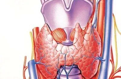 як лікувати багатовузловий зоб