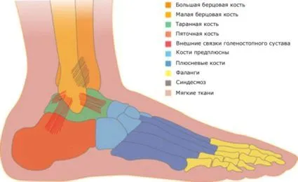 нерв