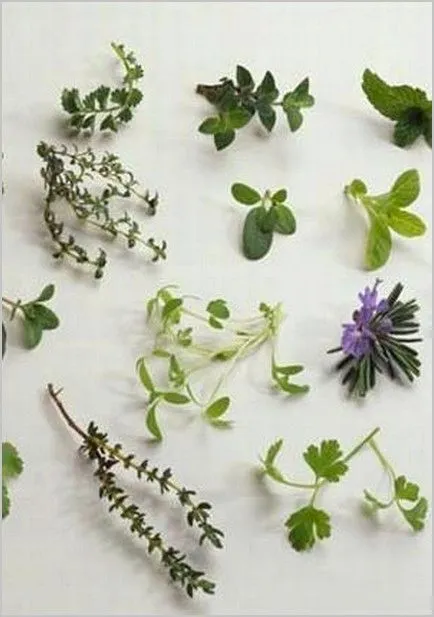 лікування