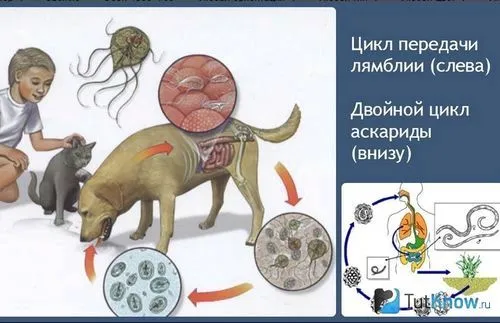 захворювання