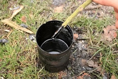 як лікувати опісторхоз народними засобами