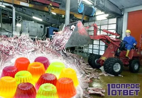 як лікувати суглоби желатином