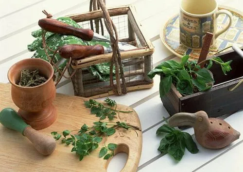 як лікувати плеврит легких