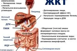 як лікувати понос на зуби