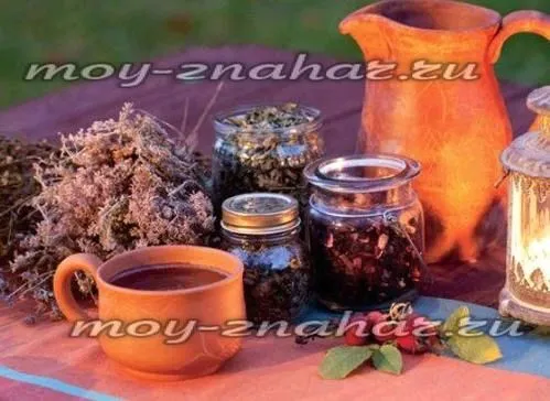 Нирки болять: симптоми, ніж лікувати нирки