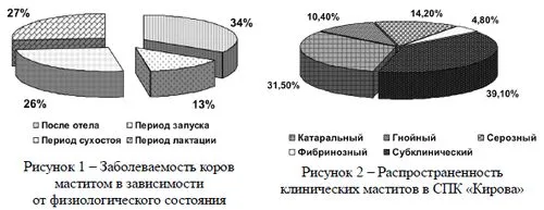 під носом почервоніння і дрібні прищики сверблять