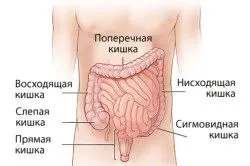 лікування органів травлення