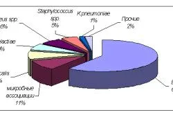 хронічний пієлонефрит лікування ознаки стадії симптоми