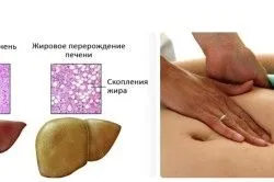 перший по печінці