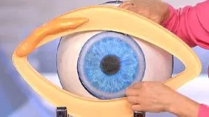 як вилікувати жировик на столітті