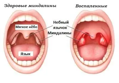 жіночий