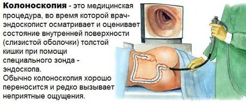 дієта
